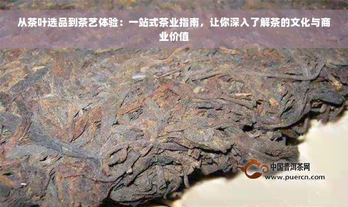 从茶叶选品到茶艺体验：一站式茶业指南，让你深入了解茶的文化与商业价值