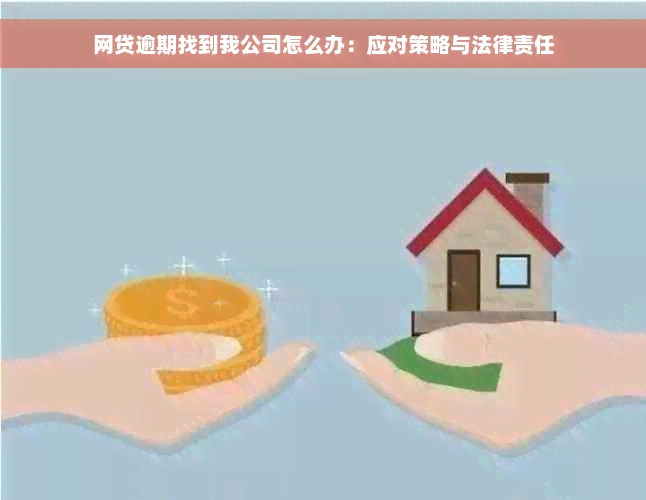 网贷逾期找到我公司怎么办：应对策略与法律责任