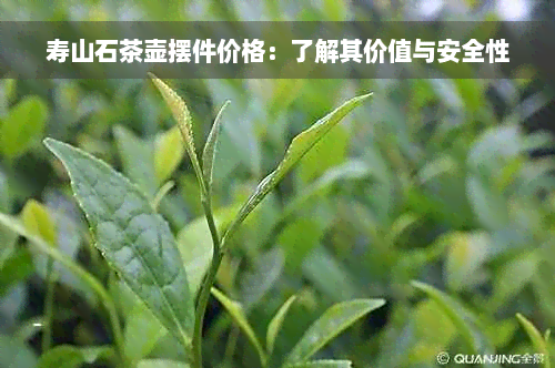 寿山石茶壶摆件价格：了解其价值与安全性