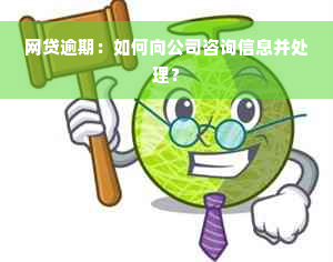 网贷逾期：如何向公司咨询信息并处理？