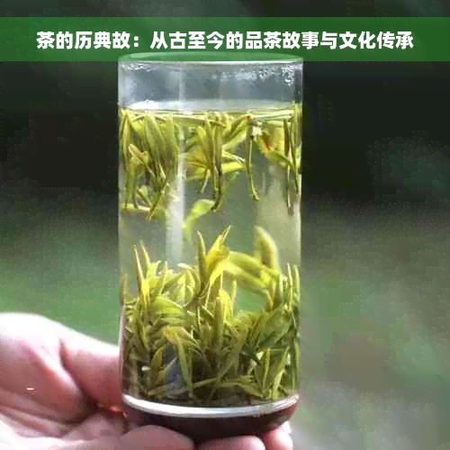 茶的历典故：从古至今的品茶故事与文化传承