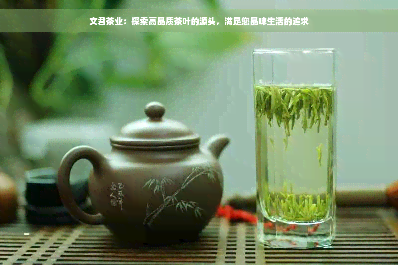 文君茶业：探索高品质茶叶的源头，满足您品味生活的追求