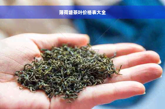 薄荷塘茶叶价格表大全