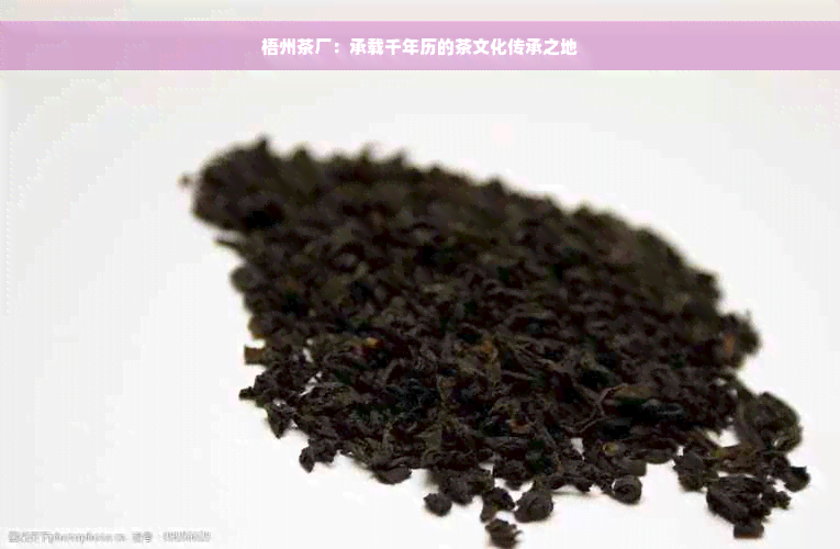 梧州茶厂：承载千年历的茶文化传承之地