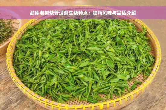 勐库老树茶普洱茶生茶特点：独特风味与品质介绍