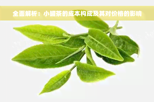 全面解析：小罐茶的成本构成及其对价格的影响