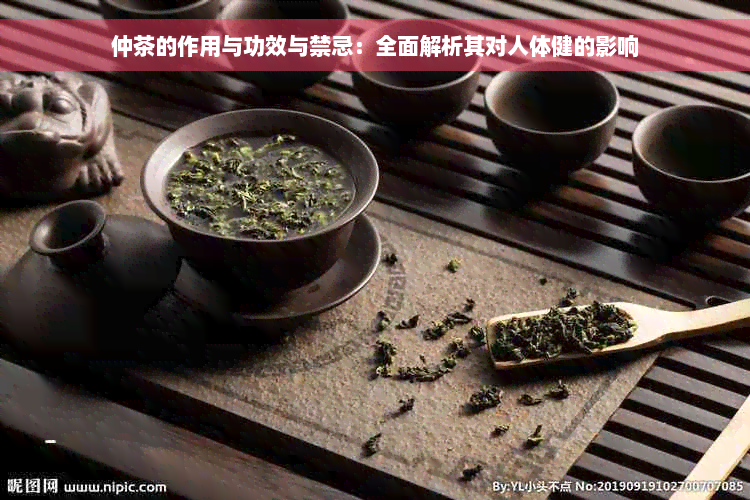 仲茶的作用与功效与禁忌：全面解析其对人体健的影响