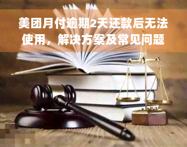 美团月付逾期2天还款后无法使用，解决方案及常见问题解答