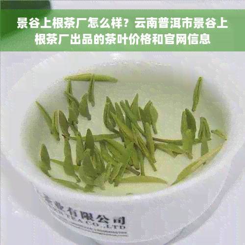 景谷上根茶厂怎么样？云南普洱市景谷上根茶厂出品的茶叶价格和官网信息