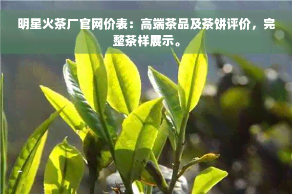 明星火茶厂官网价表：高端茶品及茶饼评价，完整茶样展示。