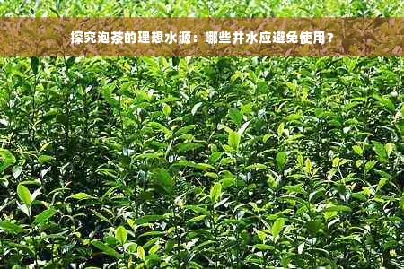 探究泡茶的理想水源：哪些井水应避免使用？