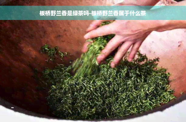 板桥野兰香是绿茶吗-板桥野兰香属于什么茶