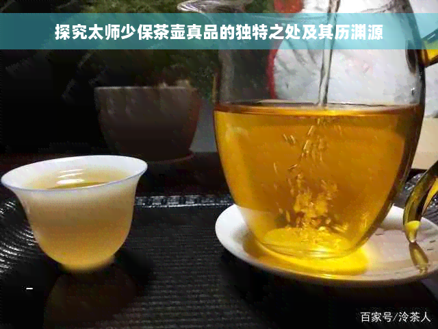 探究太师少保茶壶真品的独特之处及其历渊源