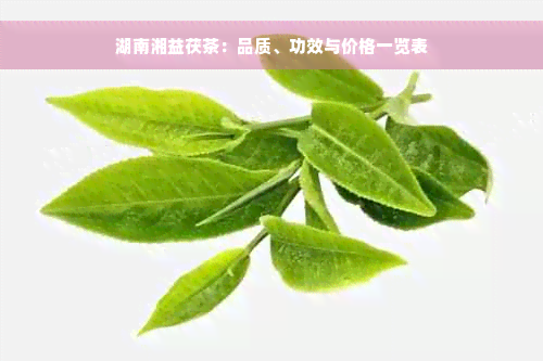 湖南湘益茯茶：品质、功效与价格一览表