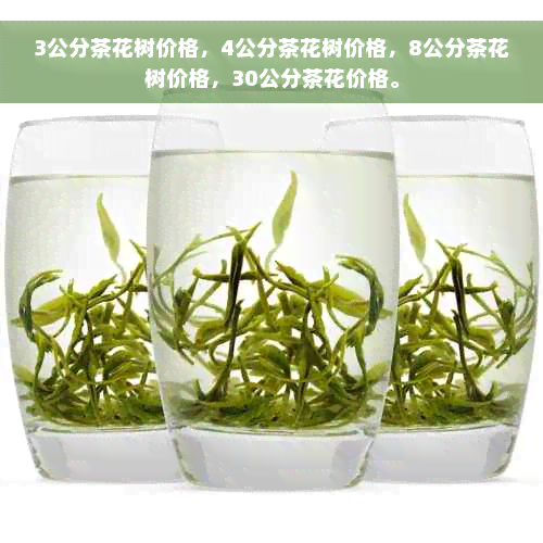 3公分茶花树价格，4公分茶花树价格，8公分茶花树价格，30公分茶花价格。