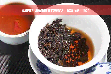 威县香炉山茶旅融合发展现状：企业与茶厂简介