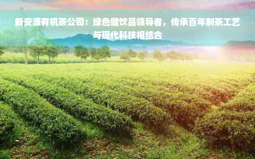 新安源有机茶公司：绿色健饮品领导者，传承百年制茶工艺与现代科技相结合