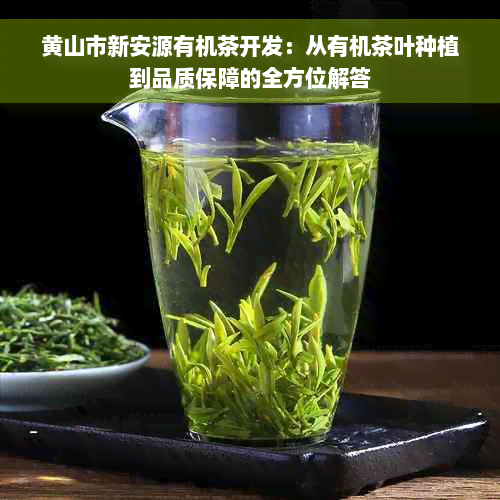 黄山市新安源有机茶开发：从有机茶叶种植到品质保障的全方位解答