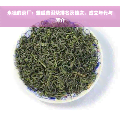 永德的茶厂：雄峰普洱茶排名及档次，成立年代与简介