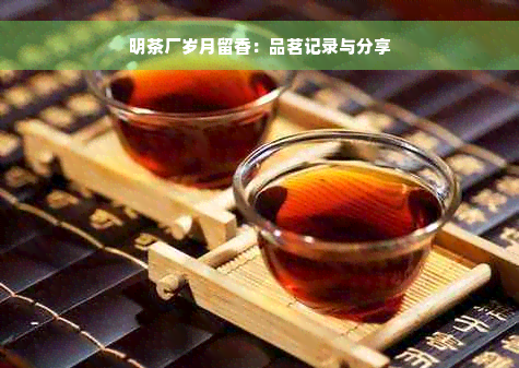 明茶厂岁月留香：品茗记录与分享