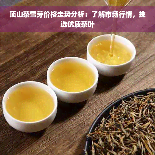 顶山茶雪芽价格走势分析：了解市场行情，挑选优质茶叶