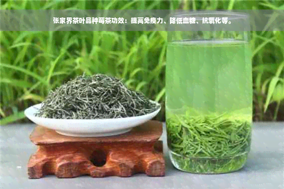 张家界茶叶品种莓茶功效：提高免疫力、降低血糖、抗氧化等。