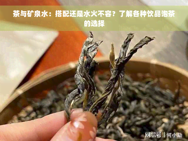 茶与矿泉水：搭配还是水火不容？了解各种饮品泡茶的选择