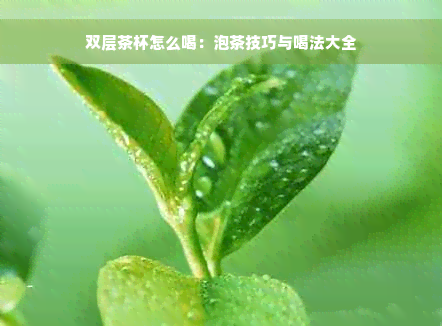 双层茶杯怎么喝：泡茶技巧与喝法大全