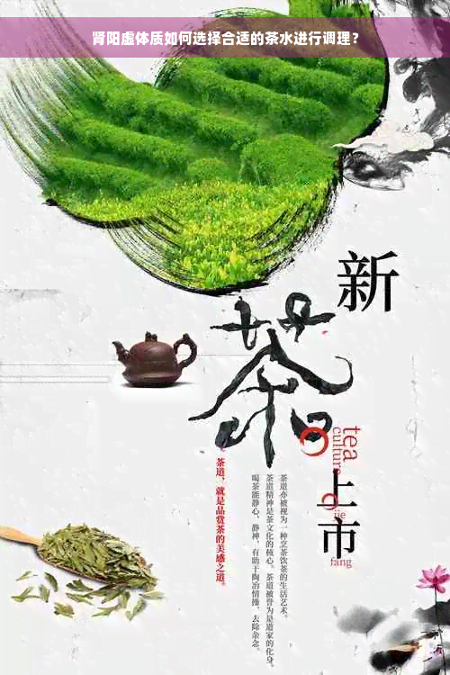 肾阳虚体质如何选择合适的茶水进行调理？