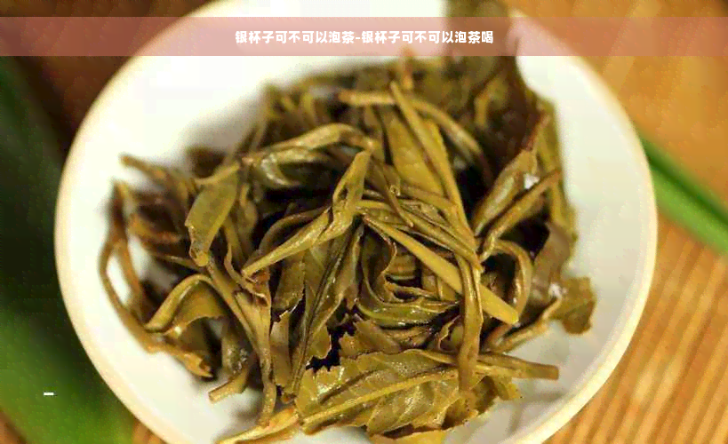 银杯子可不可以泡茶-银杯子可不可以泡茶喝