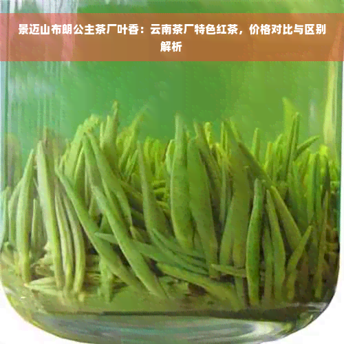 景迈山布朗公主茶厂叶香：云南茶厂特色红茶，价格对比与区别解析