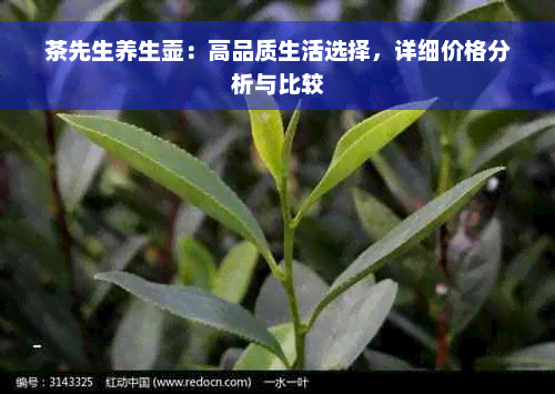 茶先生养生壶：高品质生活选择，详细价格分析与比较