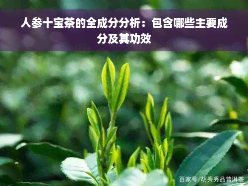 人参十宝茶的全成分分析：包含哪些主要成分及其功效