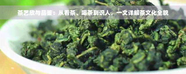 茶艺欣与品鉴：从看茶、喝茶到识人，一文详解茶文化全貌