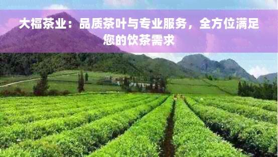 大福茶业：品质茶叶与专业服务，全方位满足您的饮茶需求