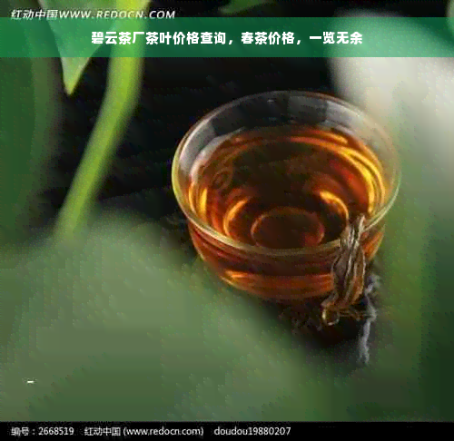 碧云茶厂茶叶价格查询，春茶价格，一览无余