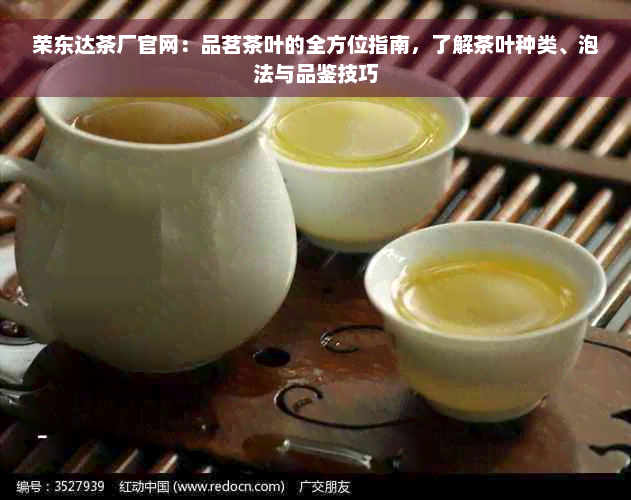 荣东达茶厂官网：品茗茶叶的全方位指南，了解茶叶种类、泡法与品鉴技巧