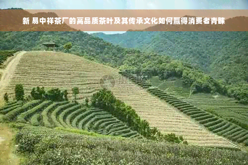 新 易中祥茶厂的高品质茶叶及其传承文化如何赢得消费者青睐