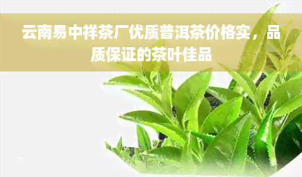 云南易中祥茶厂优质普洱茶价格实，品质保证的茶叶佳品