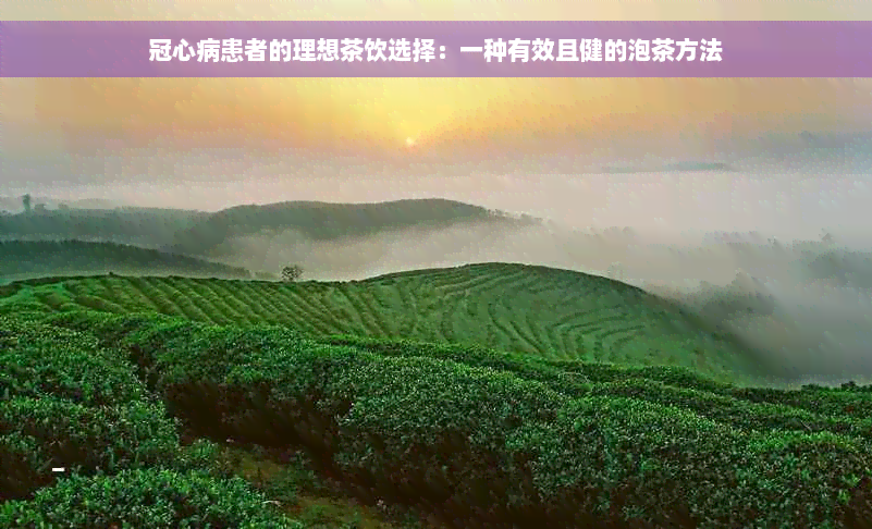 冠心病患者的理想茶饮选择：一种有效且健的泡茶方法