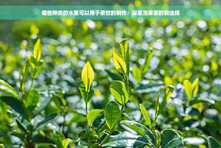 哪些种类的水果可以用于茶饮的制作：探索泡果茶的新选择