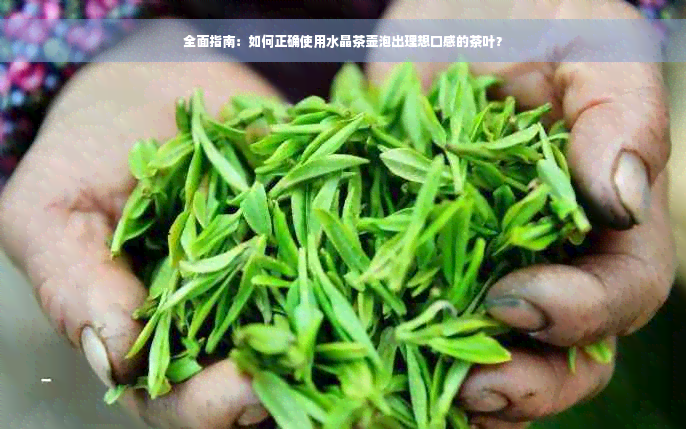 全面指南：如何正确使用水晶茶壶泡出理想口感的茶叶？