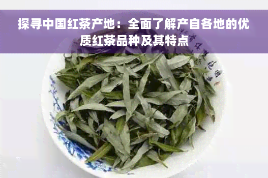 探寻中国红茶产地：全面了解产自各地的优质红茶品种及其特点