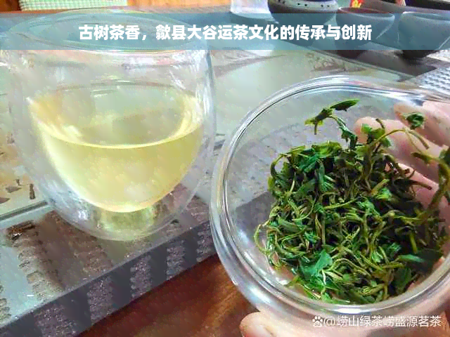 古树茶香，歙县大谷运茶文化的传承与创新