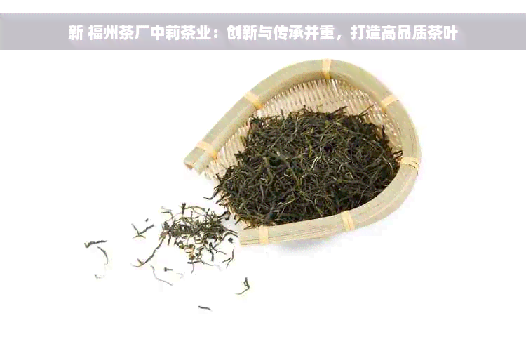 新 福州茶厂中莉茶业：创新与传承并重，打造高品质茶叶