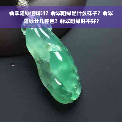 翡翠阳绿值钱吗？翡翠阳绿是什么样子？翡翠阳绿分几种色？翡翠阳绿好不好？