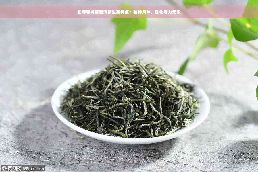 勐库老树茶普洱茶生茶特点：独特风味，陈化潜力无限