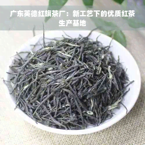 广东英德红旗茶厂：新工艺下的优质红茶生产基地