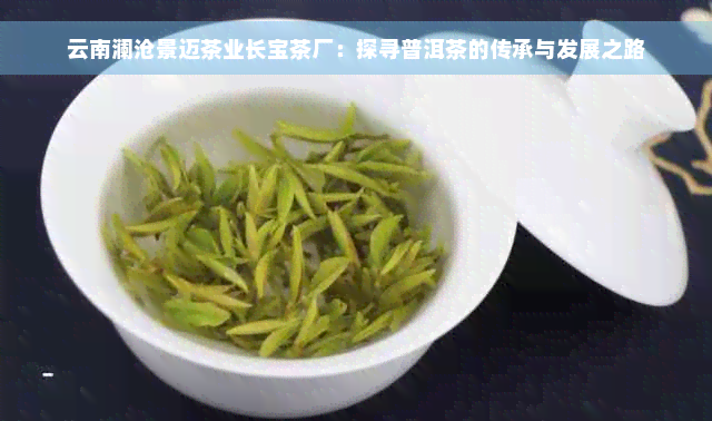 云南澜沧景迈茶业长宝茶厂：探寻普洱茶的传承与发展之路