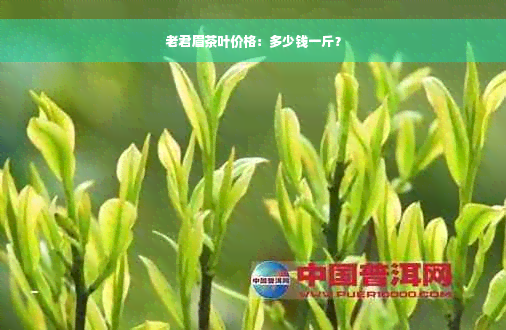 老君眉茶叶价格：多少钱一斤？